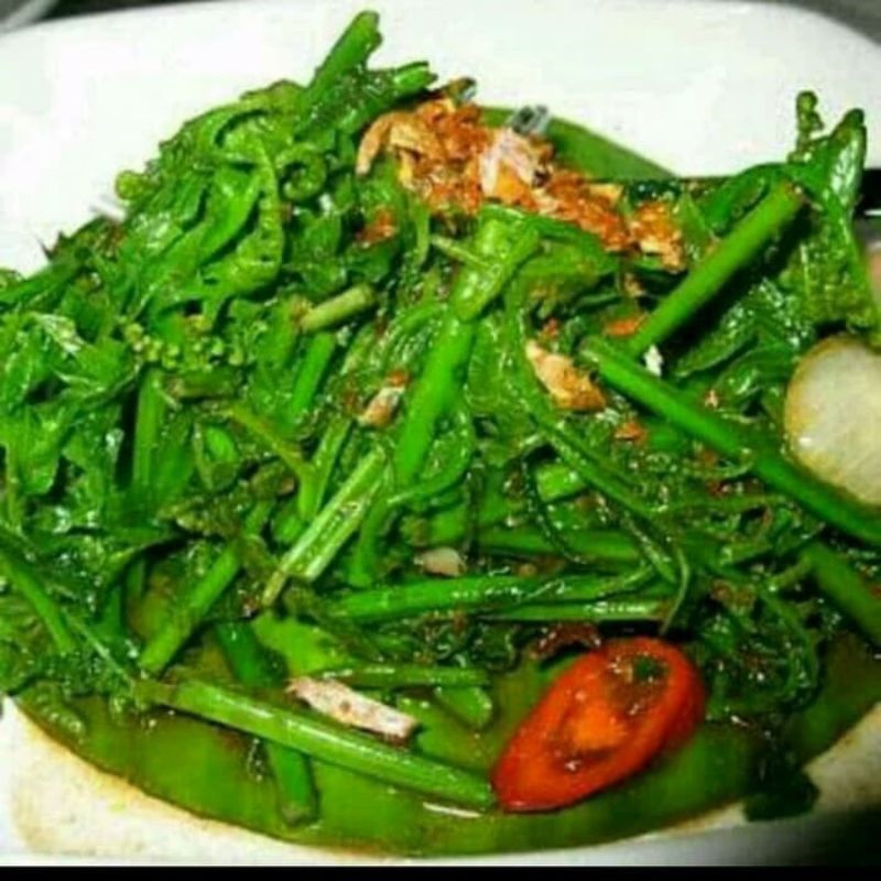 

Ready Termurah Pakis Sayur Segar 500gram siap konsumsi