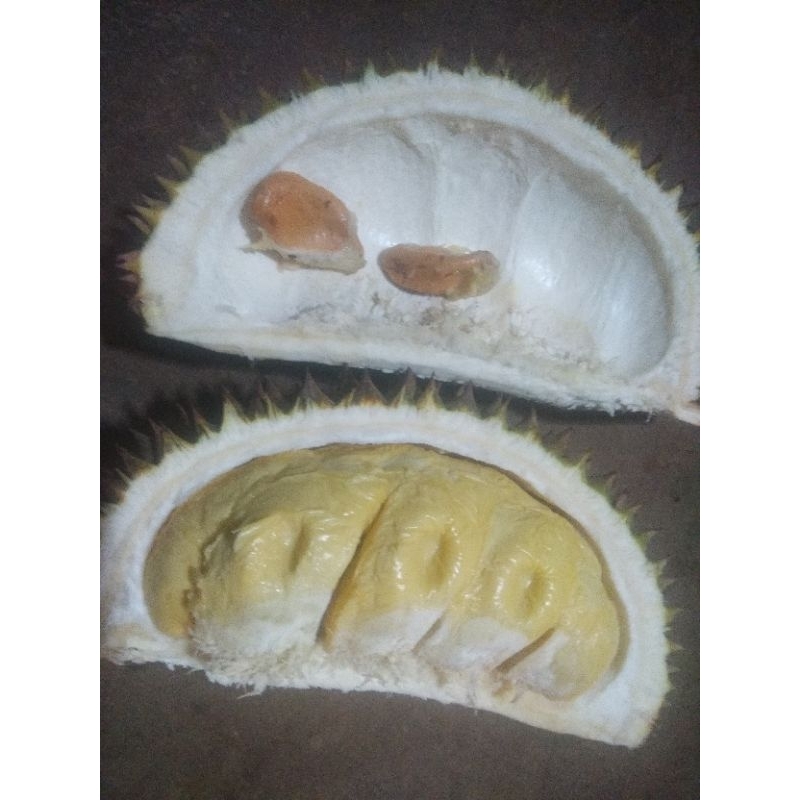 

durian lokal manis legit