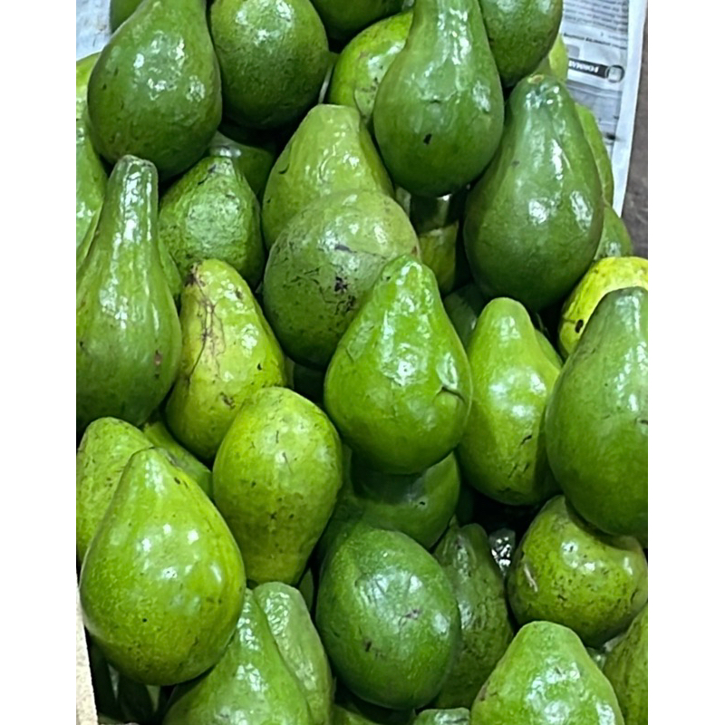 

Alpukat Mentega 1 Kg