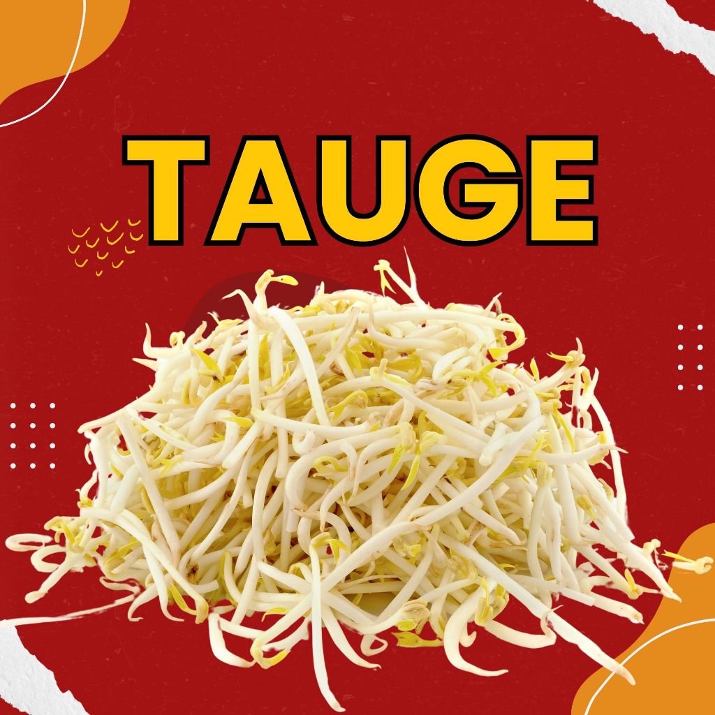 

TAUGE - TOGE / 500 Gram