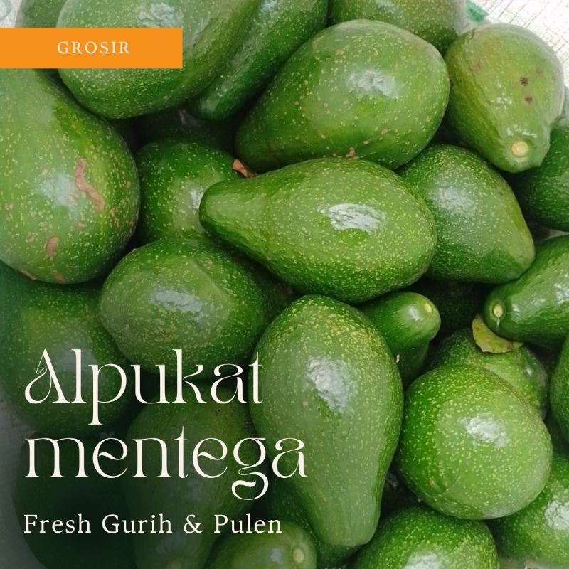 

Alpukat Mentega Super 1 kg