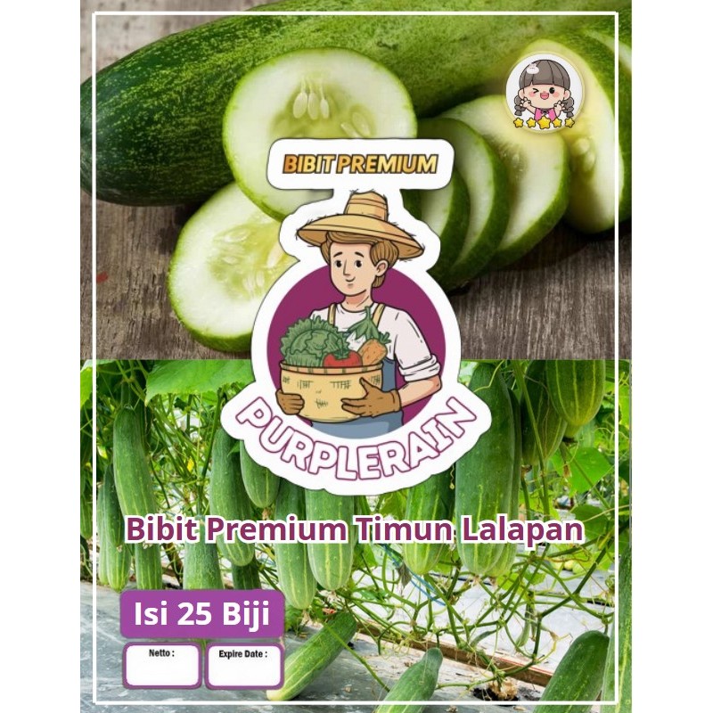 Bibit Premium Timun Lalapan | Biji Timun Lalap Benlebat|Benih Ketimun Benlebat|Mentimun