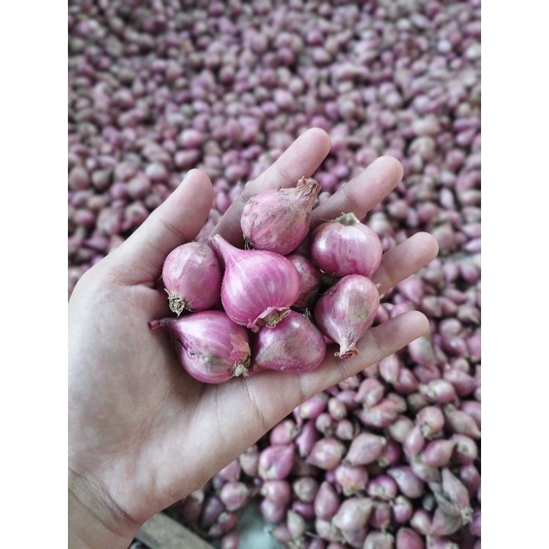 

Bawang Merah Murah 1kg