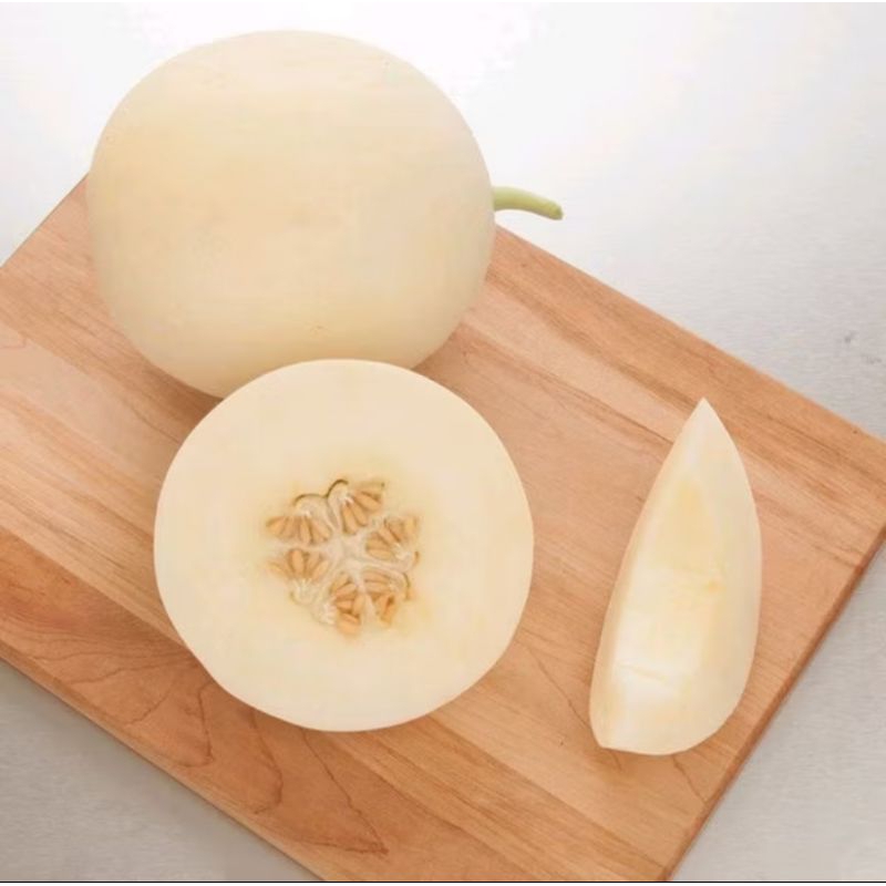 4 Benih Biji Melon Honeydew