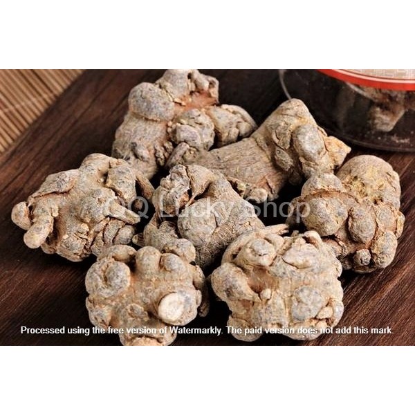 

San Qi / Tian Qi / Notoginseng Root 三七