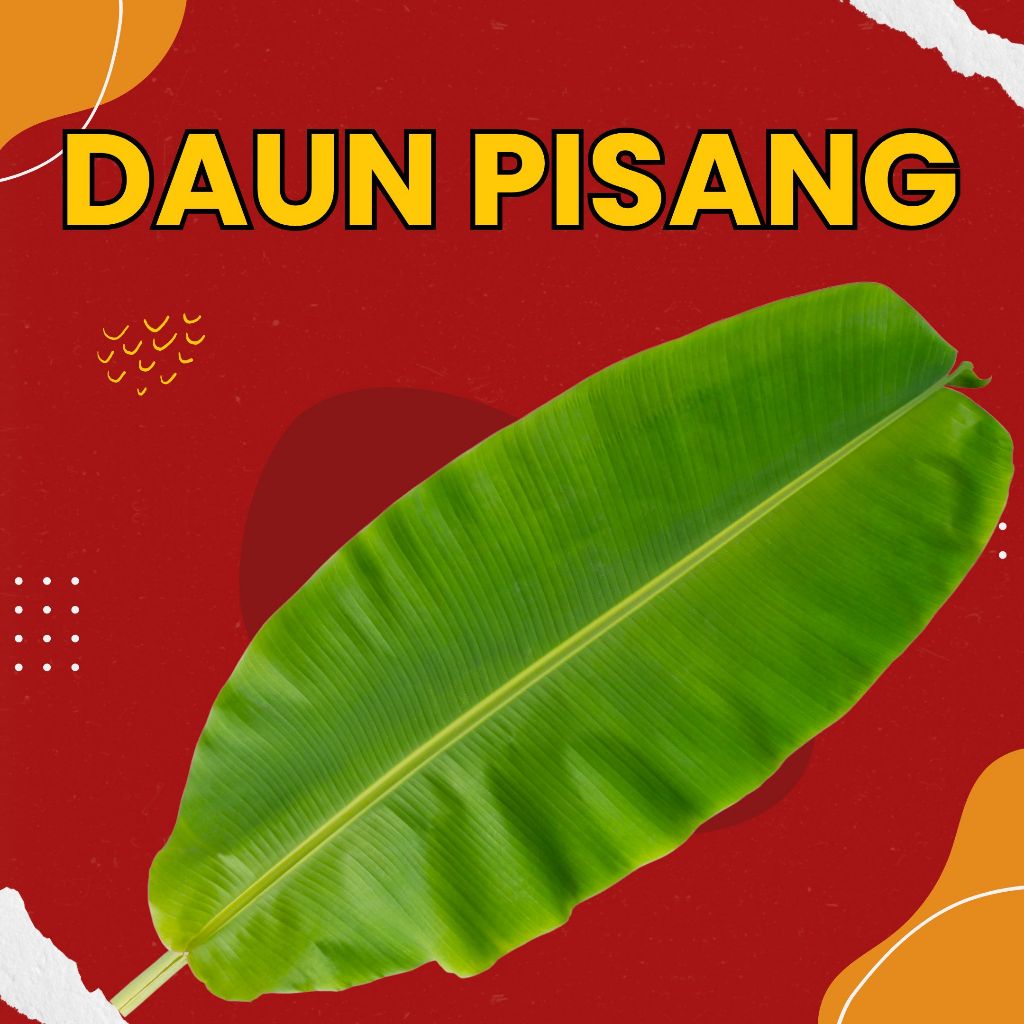 

DAUN PISANG SEGAR