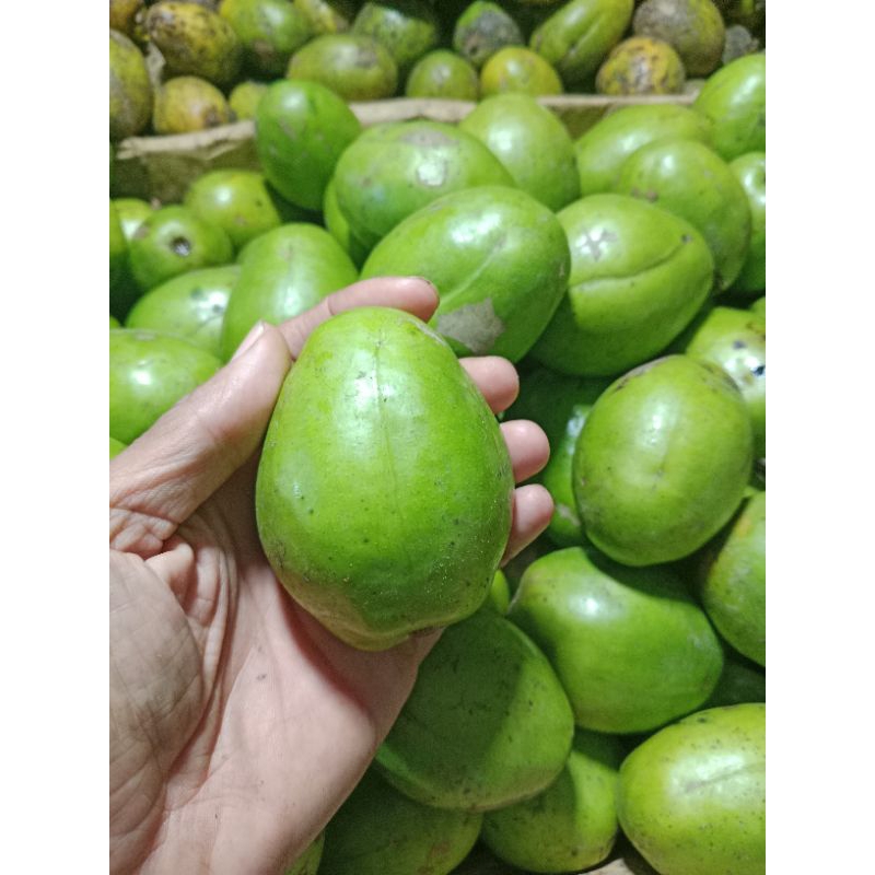 

buah kedongdong kadongdong 500gr mang sayur