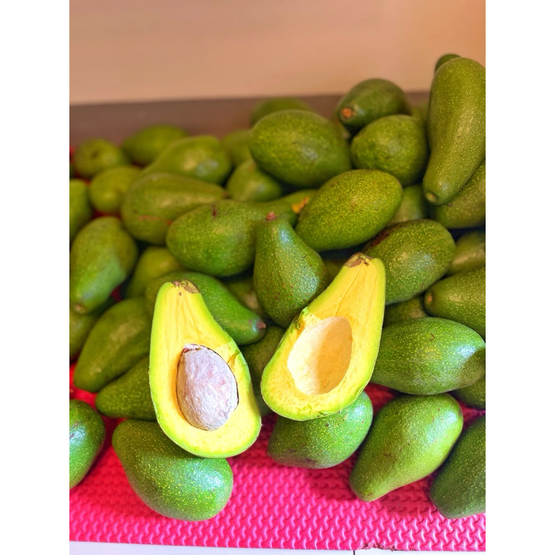 

BasecampAvocado - Alpukat Mentega Premium Isi 3