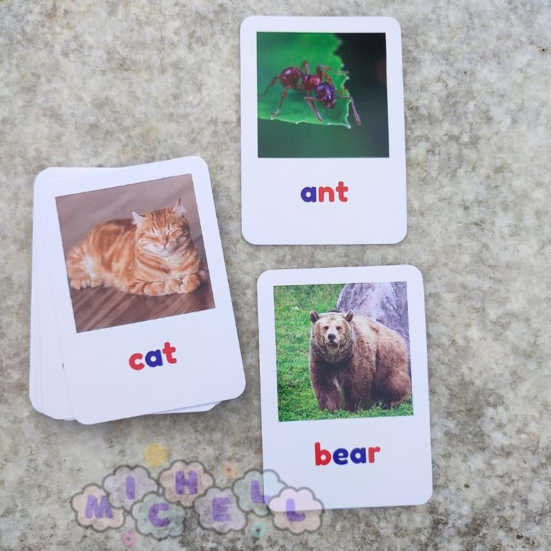 Flashcard 26pcs Animals - Kartu Mengenal Membaca Nama Hewan