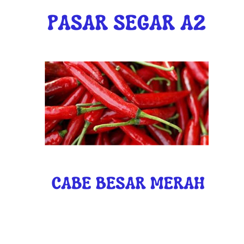 

CABE MERAH BESAR PASAR SEGAR MAKASSAR/PASAR TERONG ONLINE MAKASSAR