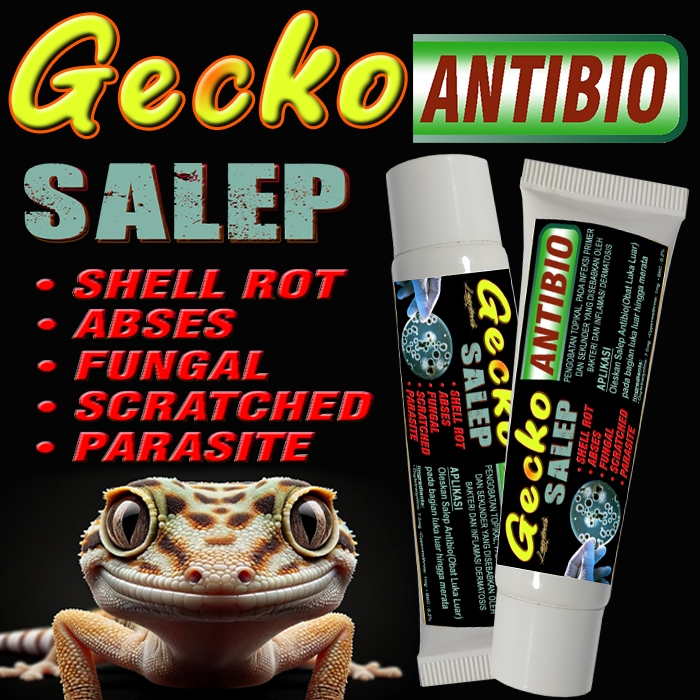 GECKO ANTIBIO SALEP LEOPARD GEKO TOKEK GEKKO WHELEERI CRESTED AFT TOKEK OBAT OLES PENYAKIT KULIT REP
