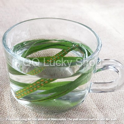 

Teh vitalitas ginjal / shen jing tea / shen jing cha 肾精茶