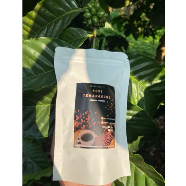 

KOPI TEMANGGUNG ROBUSTA