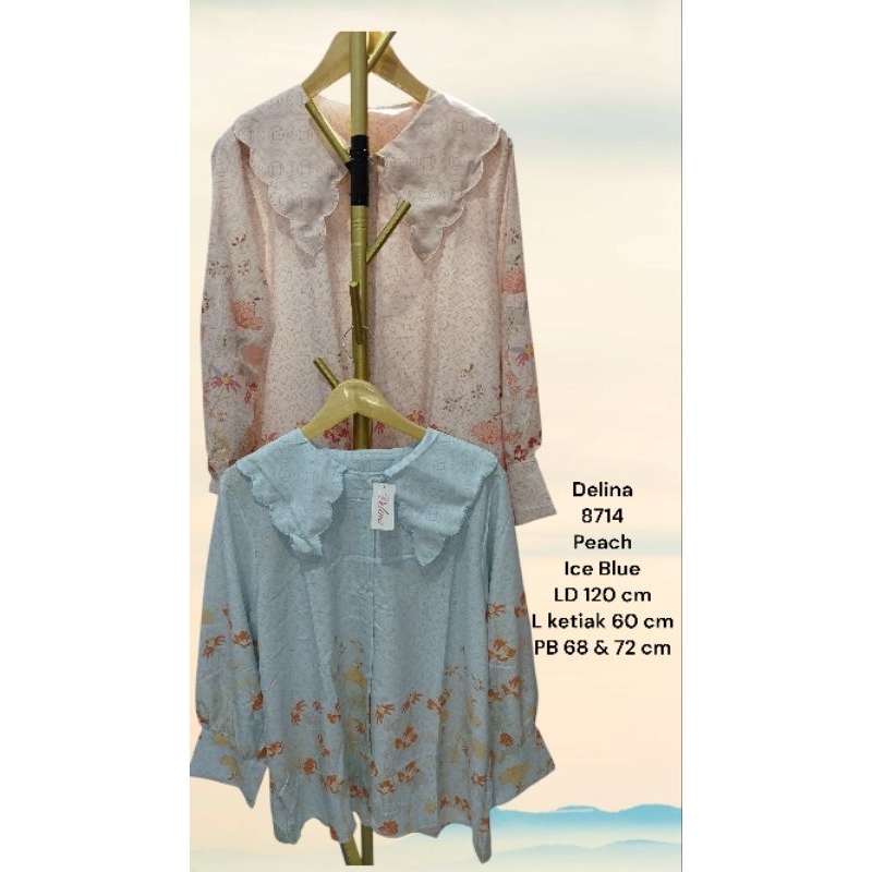 kemeja wanita | atasan wanita jumbo | atasan wanita LD 120