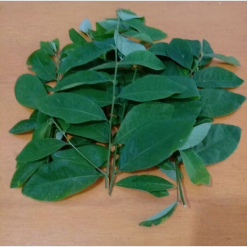 

Daun kandri segar petik langsung