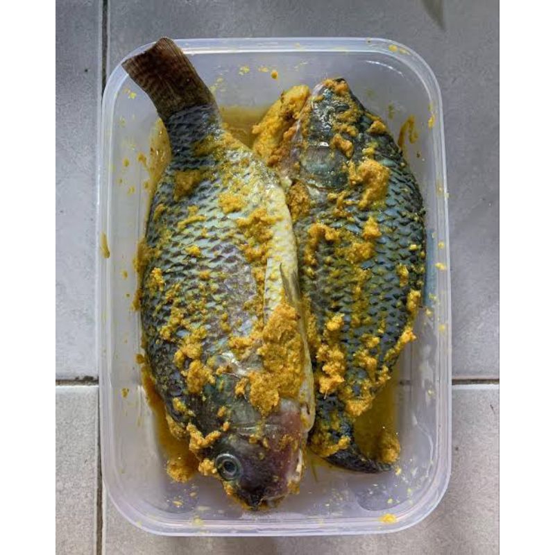 

Ikan Nila Marinasi Surabaya/ Ikan Nila Bumbu Kuning/ Ikan Nila Siap Goreng/ Ikan Nila Kirim Langsung Instan