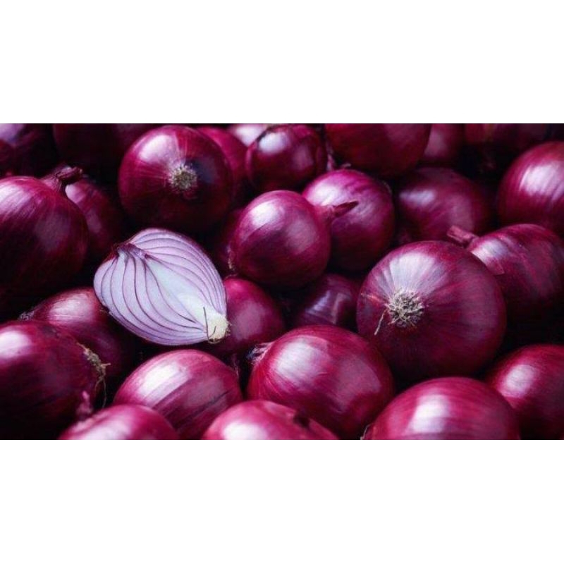 

Bawang Merah Asli Brebes Super Merek Bima Jaya 500Gram Premium Original Murah Lengkap Geratis Ongkir