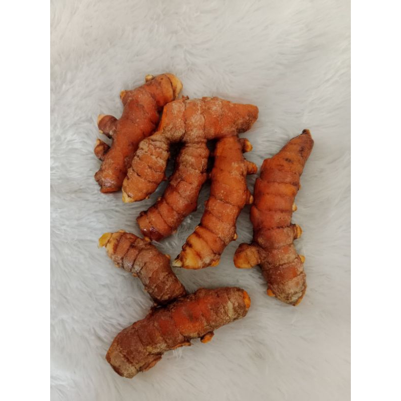 

kunyit segar 500 gram