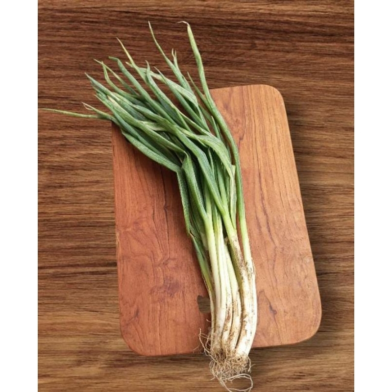 

Daun Bawang