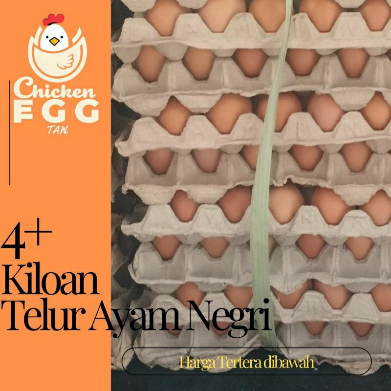 

Chicken Egg Tan 4+ Kiloan Telur Ayam Negri