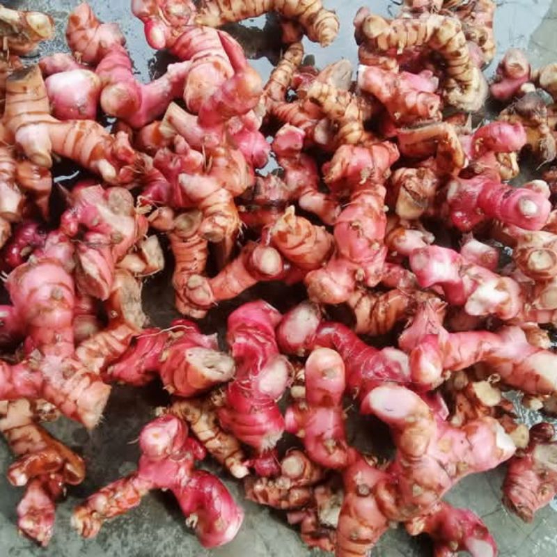 

Lengkuas segar paket hemat gratis ongkir 3Kg