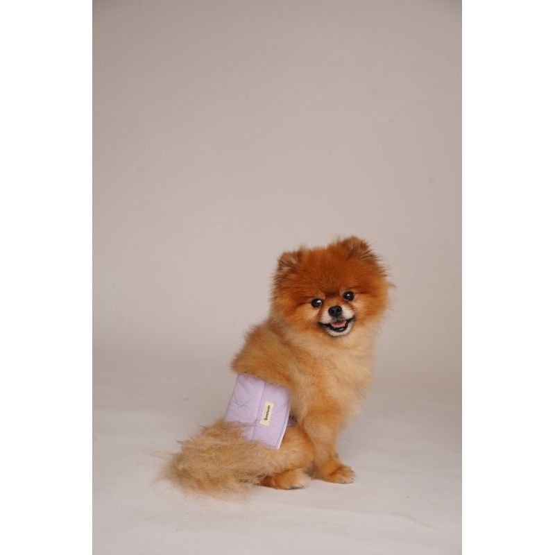Megumiyee_ Pawlovin - Manner Belt / Penutup Popok Anjing Premium Waterproof