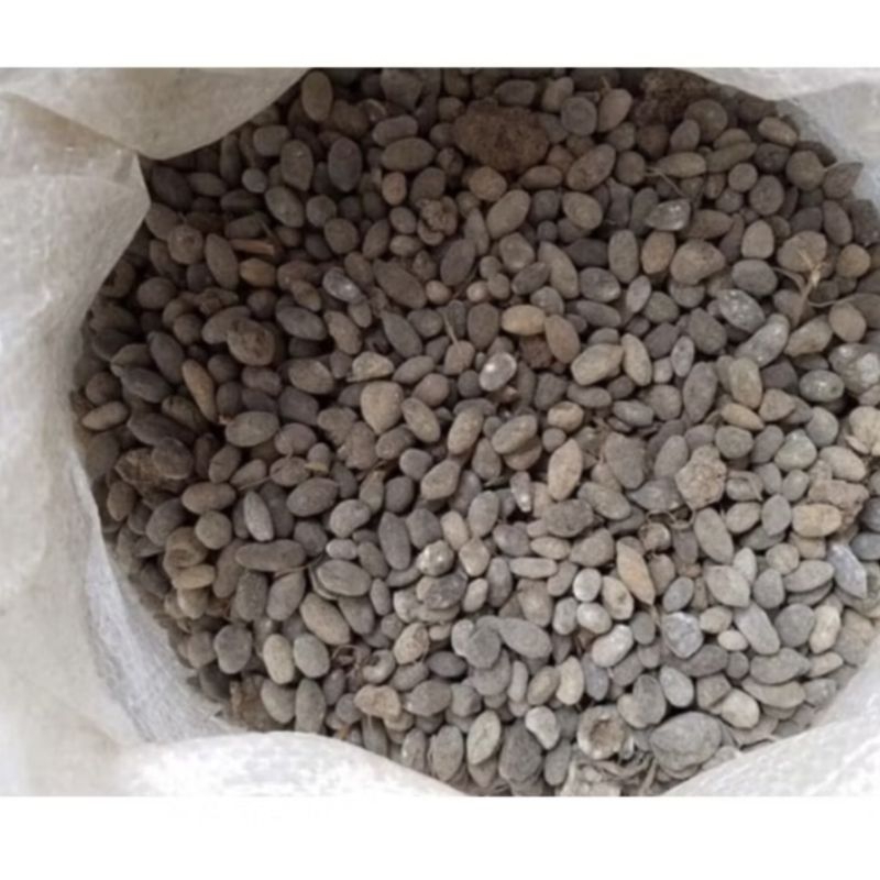 Pupuk kandang kambing pupuk kompos 1kg