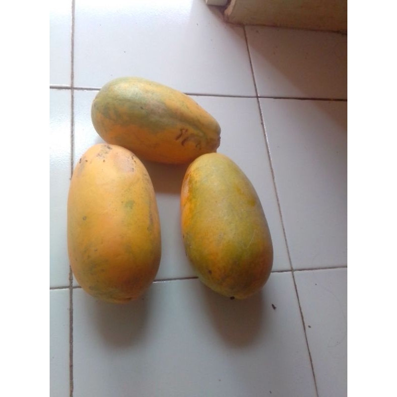 

pepaya california