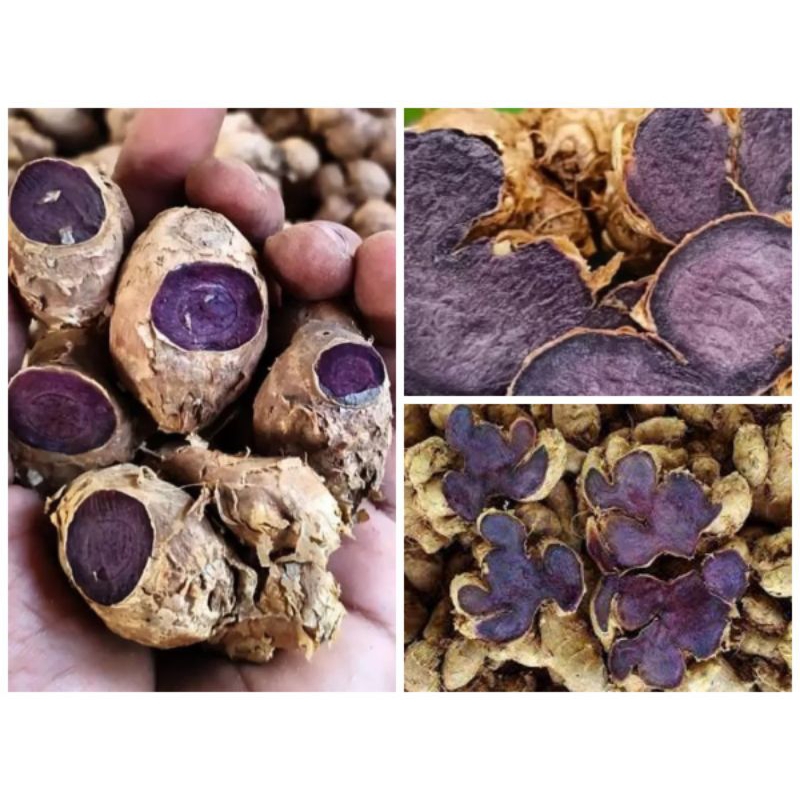 

kunyit Hitam asli di ambil jika ada orderan masuk 500gr