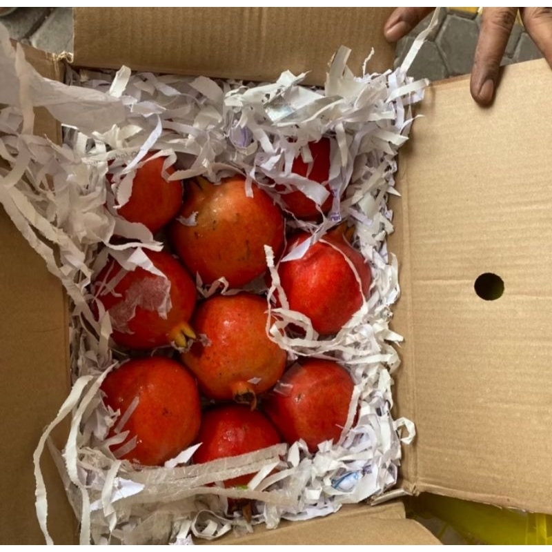 

Buah delima india manis | delima red box fresh 2.5kg
