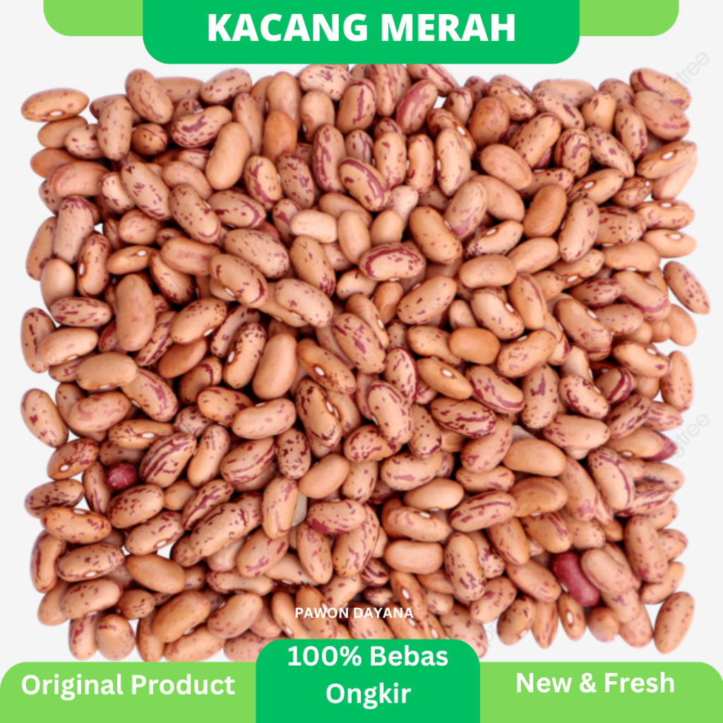 

Kacang Merah / Kacang Jogo / Kacang Es / Red Beans