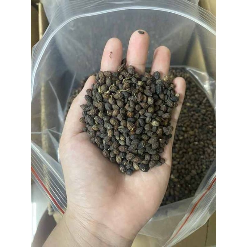 

Biji pepaya kering 100% premium - Obat herbal