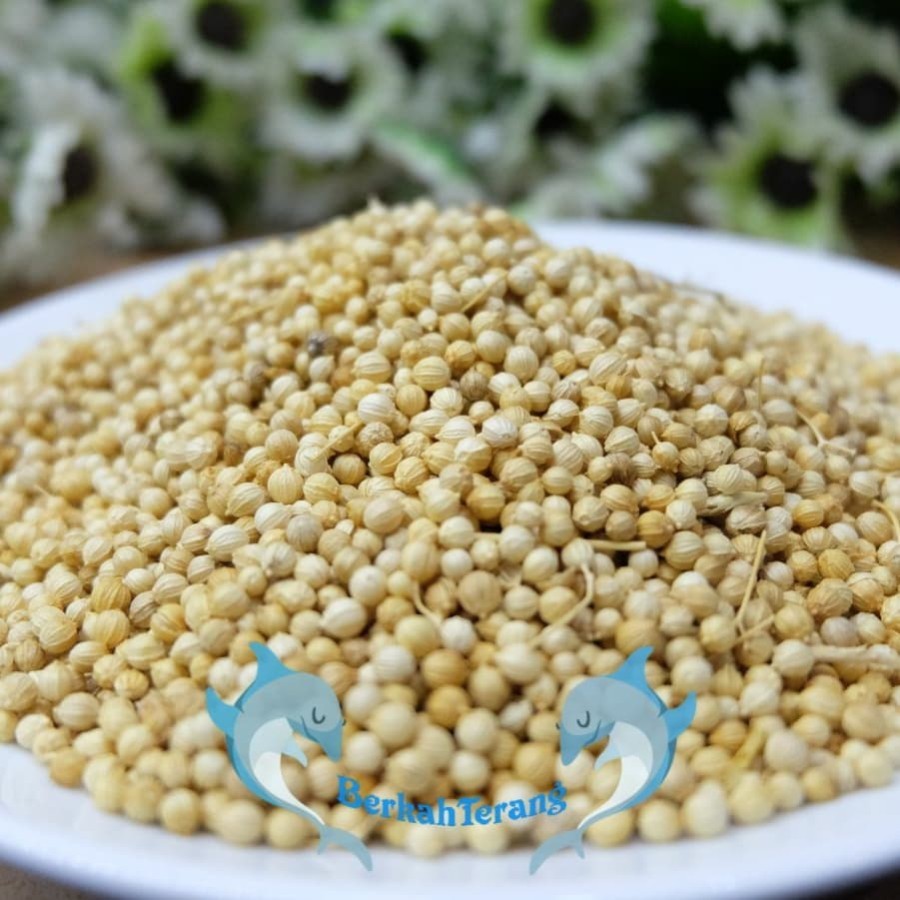 

Biji Ketumbar SUPER Alami 250GR