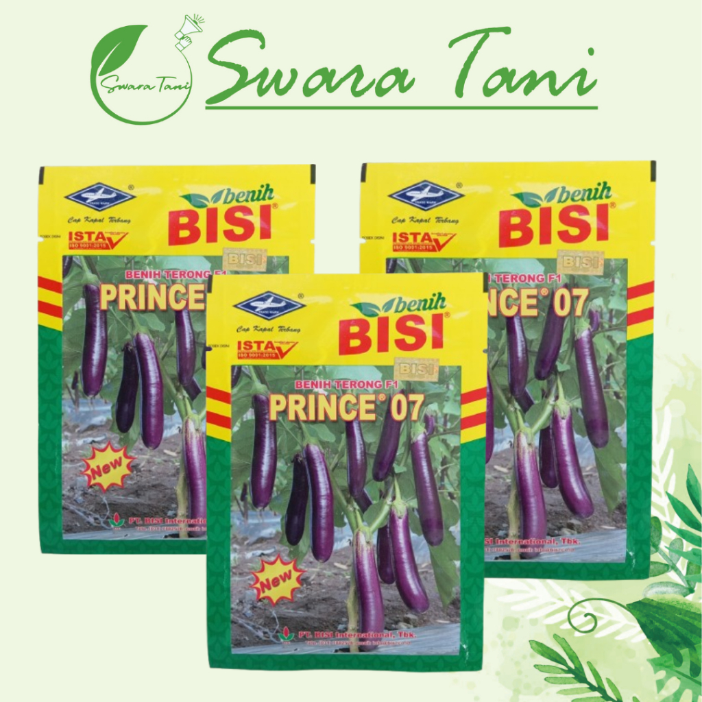 Benih Terong NEW PRINCE 07 10 Gram Terong Ungu CAP KAPAL TERBANG PRINCE EPA