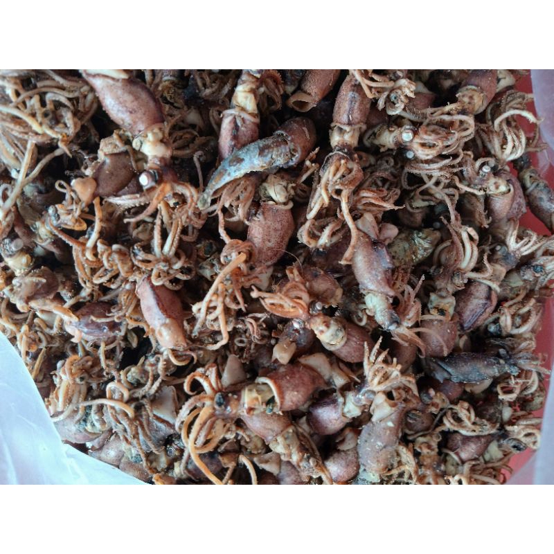 

BABY CUMI KERING MEDAN UKURAN 2-3 CM.BERAT 250 Gr