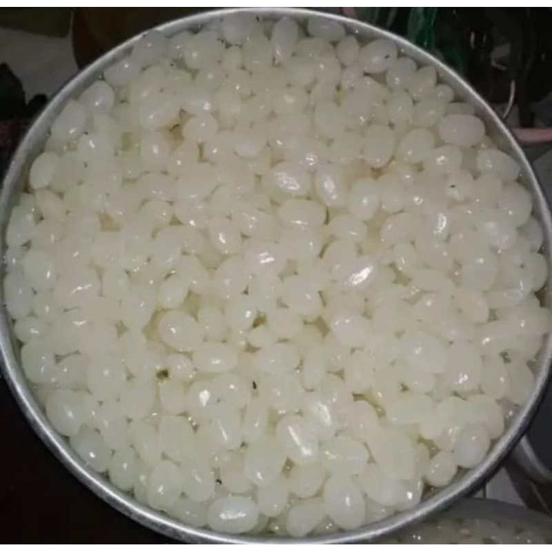 

Kolang Kaling Segar Fresh Bersih