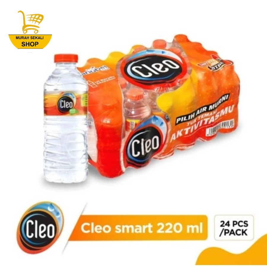 

Cleo Air Mineral 220ml 24 Botol