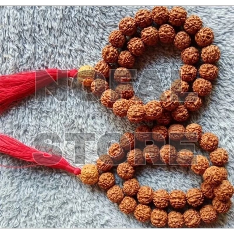 TASBIH 33 JENITRI RUDRAKSHA ATAU GELANG RUDRAKSHA JENITRI
