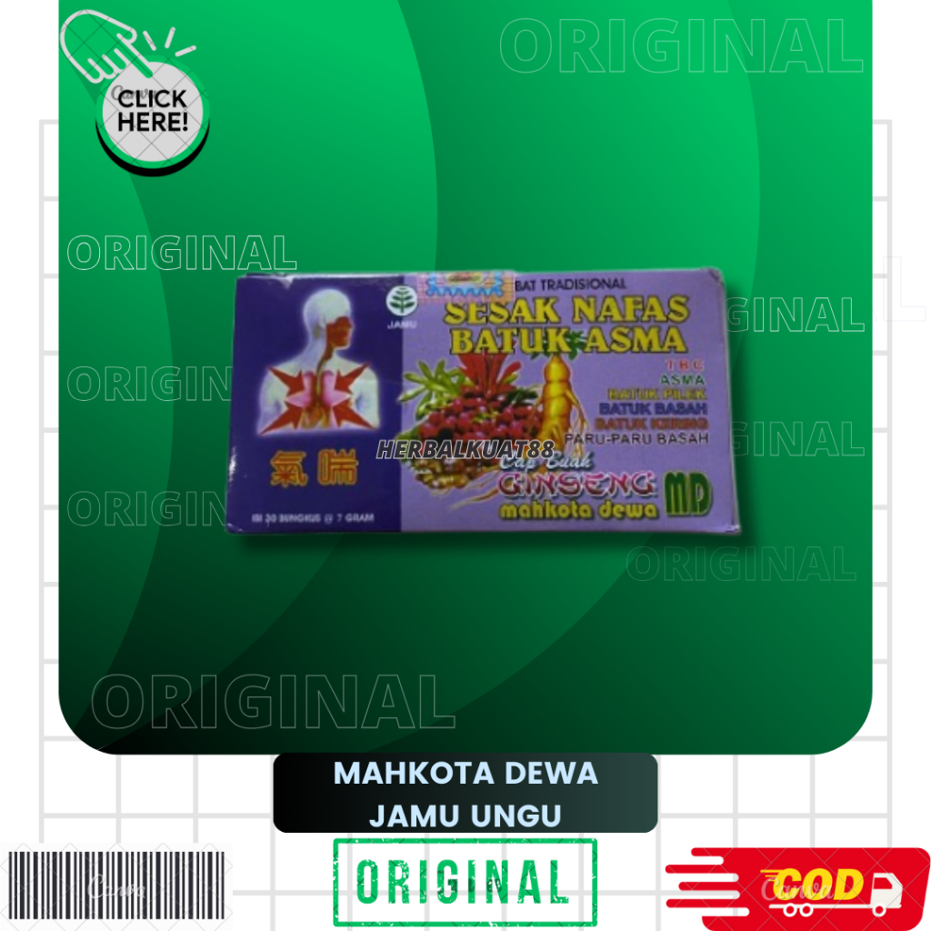 MAHKOTA DEWA SESAK NAFAS