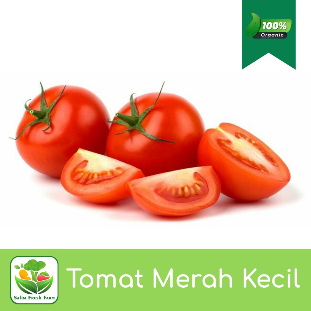 

Tomat merah kecil/Tomat merah 1kg/Tomat murah/Tomat sayur