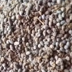 Pupuk tai kambing 1 kg