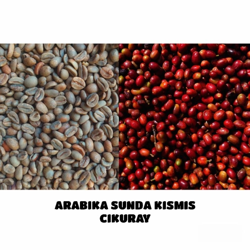 

Sunda Wangi- Biji Kopi Green Beans Arabika Sunda Kismis Cikuray- 1Kg#