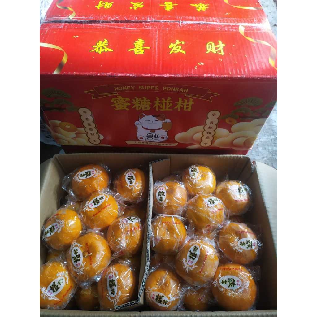 

Jeruk ponkam rrc dus berat +/- 8 kg/uk (L)