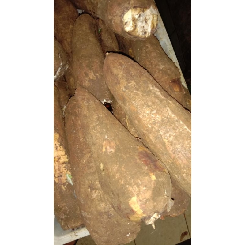 

singkong 1kg, Rp, 6000