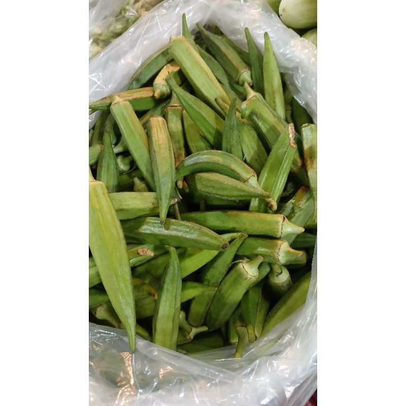 

okra/bindi 500grm PROMO hari ini