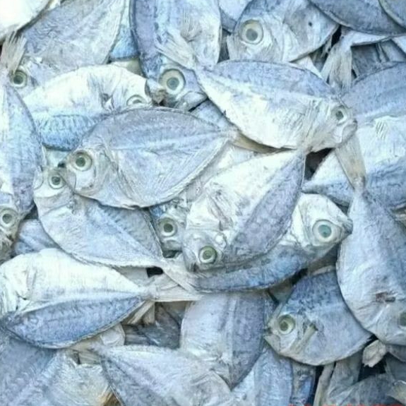 

IKAN ASIN PETEK PIRIK KECIL halus 600gr kering cocok untuk peyek ikan/packingnya aman