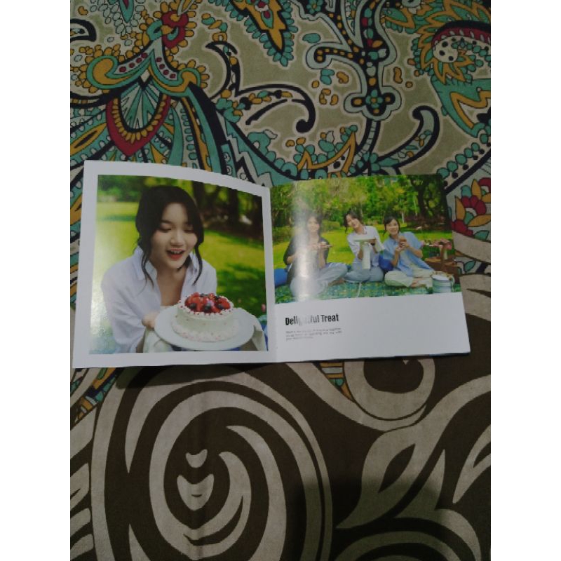 booklet erigo