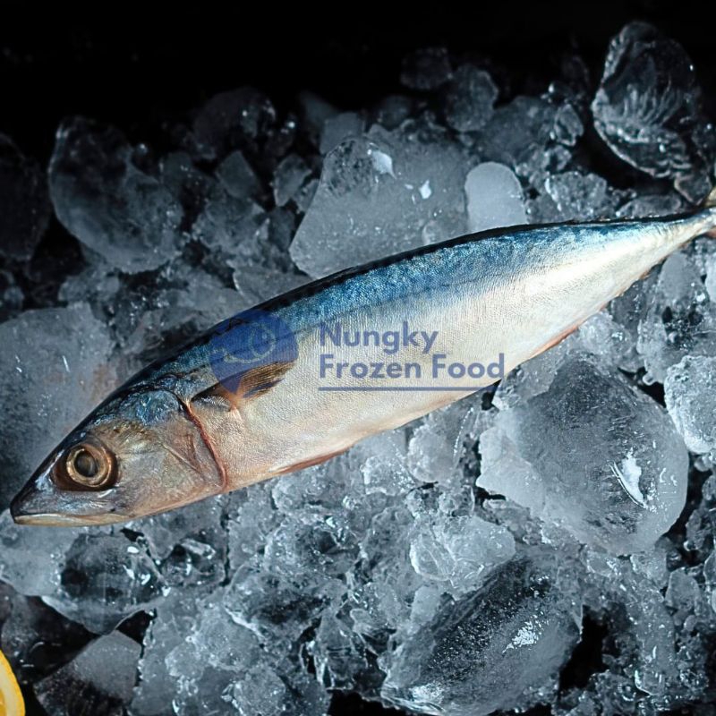 Ikan Salem 500grm (isi 5 ekor). Salem Frozen/ikan salem Frozen/salem Frozen