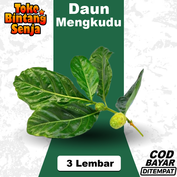 

Daun Mengkudu 3 Lembar Untuk Urap