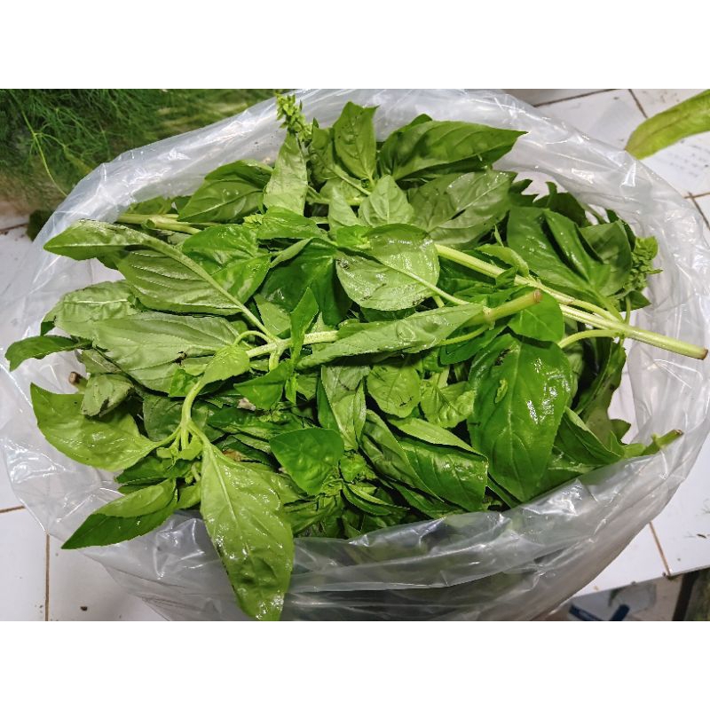 

basil / daun basil 100gr